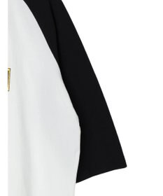 Green Parks ■ＪＵＲＡＳＳＩＣ　ＰＡＲＫ　ロゴｐｔラグランＴ