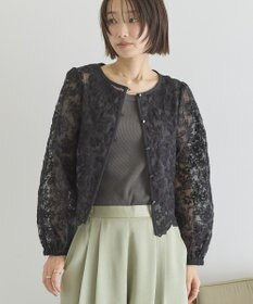 AMERICAN HOLIC 【前後2WAY】シアーレースブラウス