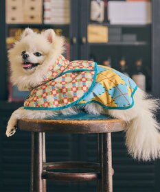COQ PLAID ARGYLE ドッグポンチョ レインコート
