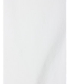 Green Parks ■ＪＵＲＡＳＳＩＣ　ＰＡＲＫ　ロゴｐｔラグランＴ