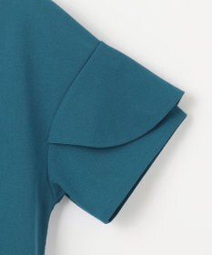 ANY SIS L 【前後着用・UVケア・洗える】2WAYジョーゼットジャージーフリル カットソー