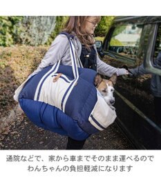 PET PARADISE ペットパラダイス ドライブキャリー 《ライン柄》