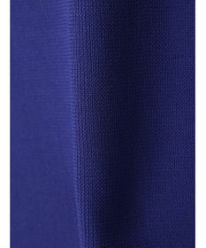 AMERICAN HOLIC エコカルット総針タイトスカート