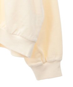 AMERICAN HOLIC 襟付き刺繍入りミニ裏毛プルオーバー