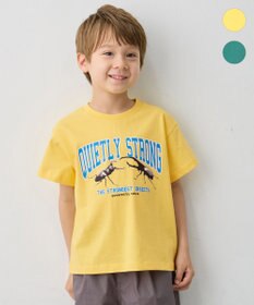 ANY KIDS 【綿100％】昆虫プリント 半袖Tシャツ