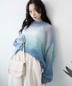 WEGO グラデーションメッシュニット