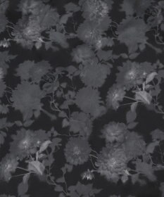 WEGO アムンゼンパターンBIGシャツ（SS）