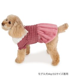 PET PARADISE ペットパラダイス レース襟 ワンピース 小型犬