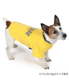 PET PARADISE J.PRESS カレッジ Ｔシャツ 小型犬