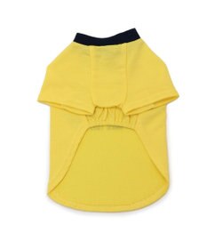 PET PARADISE J.PRESS カレッジ Ｔシャツ 小型犬