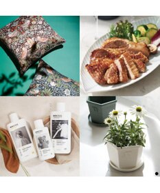 PRESENTERS ROOM ベストコレクション ＜Dahlia-(ダリア)＞