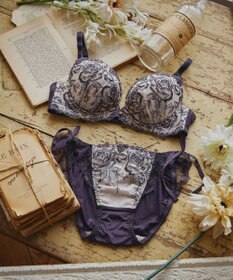 San-ai Resort（三愛水着楽園） 【エレガントコレクション2402】単品ブラEFGカップ 【northerly】