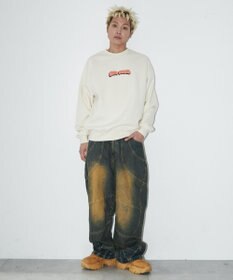 WEGO 【ユニセックス着用ITEM/MLサイズ展開/裏起毛】別注BENDAVISプランプロゴプルオーバー