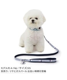 PET PARADISE リサとガスパール リード 《であい柄》リフレクトチャーム付き  ４Ｓ～３Ｓ