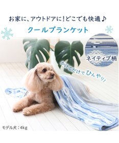 PET PARADISE ペットパラダイス クールブランケット 単品 (90×60cm)  《 苺柄 / ネイティブ柄 》