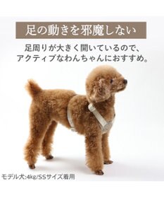 PET PARADISE ペットパラダイス くまちゃん アクティブハーネス ３Ｓ 小型犬
