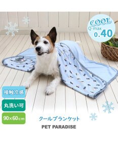 PET PARADISE リサとガスパール クールブランケット (90×60cm)
