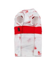 PET PARADISE ペットパラダイス 浴衣 《遊泳金魚》 中型犬 大型犬