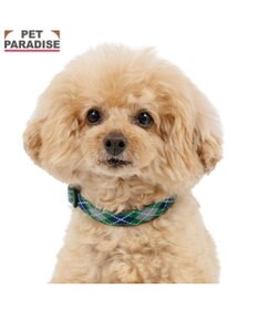 PET PARADISE ペットパラダイス チェック柄 首輪 Ｓ 小型犬
