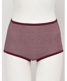 Wing ショーツ　【デイリーフィット】　ボーダー柄　はきこみ丈ふかめ　ウイング／ワコール　EC3620