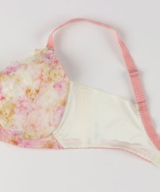 Wing ブラジャー 小さく見せるブラ Wing Lesiage 脇すっきり 背中すっきり 【2900シリーズ】 ブラ PB2901 ウイング／ワコール