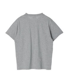 Green Parks ■ＪＵＲＡＳＳＩＣ　ＰＡＲＫ　Ｍｒ．　ＤＮＡ　Ｔ