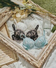 San-ai Resort（三愛水着楽園） 【エレガントコレクション2404】単品ブラEFGカップ  【northerly】