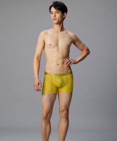 WACOAL MEN ボクサーパンツ【レースボクサー】フロント快適グラマラス 通気性 フリーなカッティング(裾部分) 前閉じ レース 下着 GT3341 /ブロス バイ ワコールメン