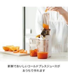 YAMATO テーブル＆キッチン 【レコルト】コールドプレスジューサーミニ  ホワイト  RCJ-1(W)