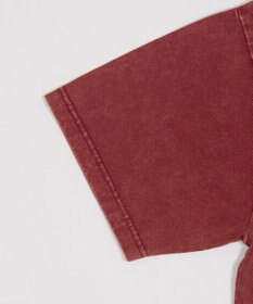 WEGO グラフィックBIG　T（SS）