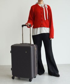 ACE BAGS & LUGGAGE 【雑誌掲載】 HaNT×Jewelna Rose コラボ スーツケース Mサイズ 06822 ハント ジュエルナローズ
