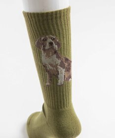 WEGO パターンデザインソックス（R）