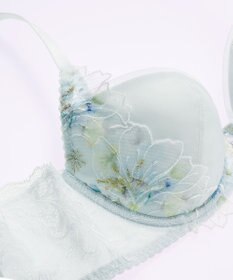 Wing Wing Lesiage　【2820シリーズ】　ブラジャー　脇すっきりの着やせシルエット　背中の段差軽減　ウイング／ワコール　PB2821