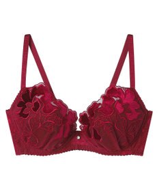 une nana cool 【ベロアのレースが特別感を演出】クリスマスモチーフブラ