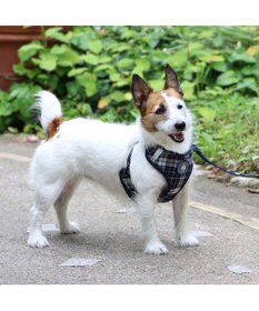 PET PARADISE J.PRESS ビエラチェック ハーネス リード【Ｓ】