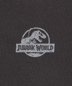 WEGO 【ユニセックス着用ITEM/SMLサイズ展開】JURASSIC　PARKグラフィックT（S）