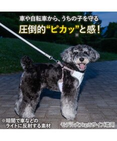 PET PARADISE ペットパラダイス 超反射 切り替え ハーネス＆リード ＳＳ 《ブルーグリーン》