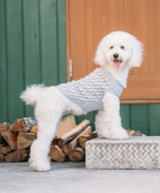 COQ ＜飼い主と愛犬のリンクコーデ＞【小型～中型犬】EVER CROSS ドッグウェア