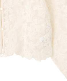 AMERICAN HOLIC 【前後2WAY】シアーレースブラウス