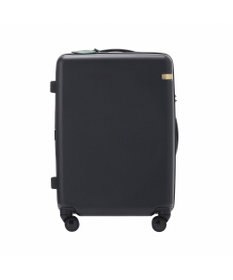 ACE BAGS & LUGGAGE HAyU × ace.  パキラ スーツケース 48L 05782 エース