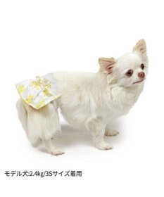 PET PARADISE ペットパラダイス サニタリーパンツ 《ミモザ柄》 小型犬
