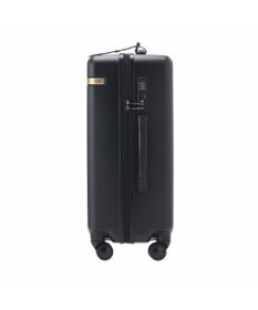 ACE BAGS & LUGGAGE HAyU × ace.  パキラ スーツケース 48L 05782 エース