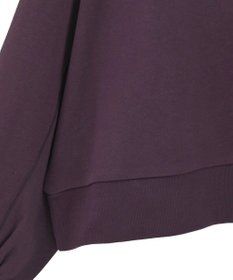 AMERICAN HOLIC 裏毛クロップドプルオーバー