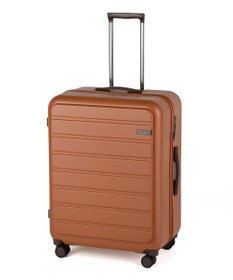 ACE BAGS & LUGGAGE ACE フレットボード スーツケース L 100L 05434 エース