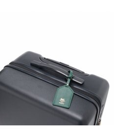 ACE BAGS & LUGGAGE HAyU × ace.  パキラ スーツケース 48L 05782 エース