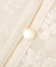 AMERICAN HOLIC 【前後2WAY】シアーレースブラウス