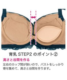 BRADELIS New York 【BRADELIS New York/ ワイヤー 育乳補整ブラ】ナオミステップ2ブラ24A2 ブラデリス 補正 ブラジャーSTEP2 寄せる