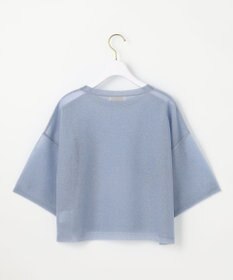 ANY SIS L 【洗える】シアー ニットT