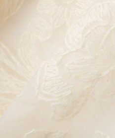 AMERICAN HOLIC 【前後2WAY】シアーレースブラウス