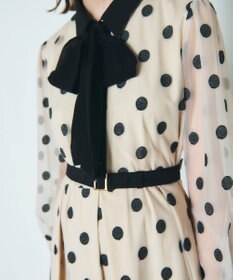 GRACE CONTINENTAL ラメドット刺繍ドレス